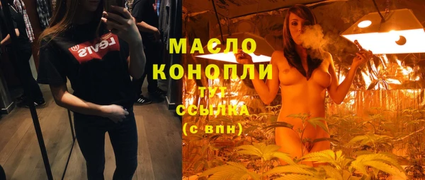 спиды Гатчина