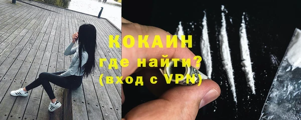 мдпв Костерёво
