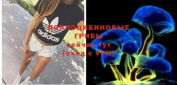 PSILOCYBIN Кодинск