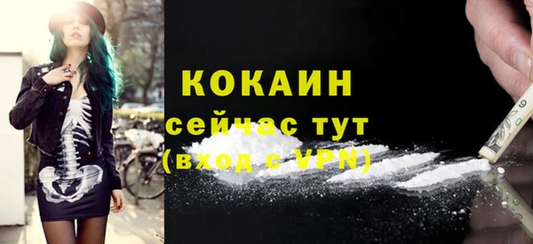 PSILOCYBIN Кодинск