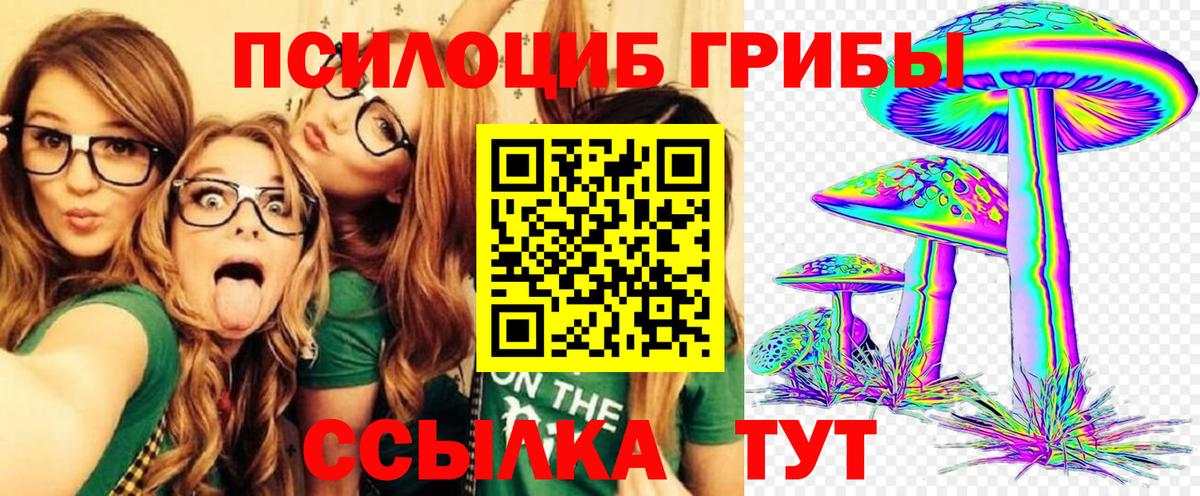 Псилоцибиновые грибы Psilocybe Костомукша