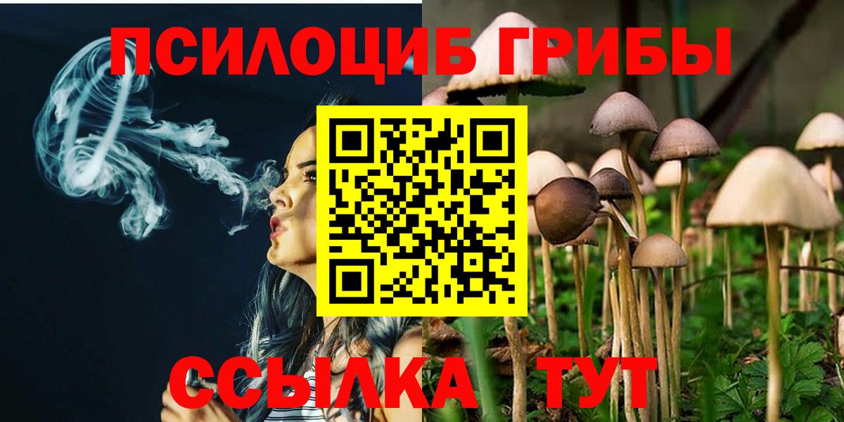 Псилоцибиновые грибы Psilocybine cubensis  Вход с VPN  Костомукша  Псилоцибиновые грибы мицелий 